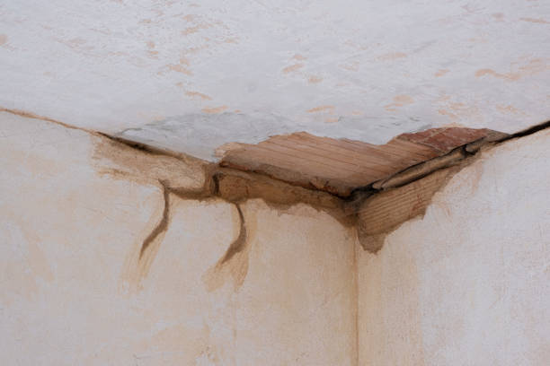 Water damage restoration mold remediation in TX