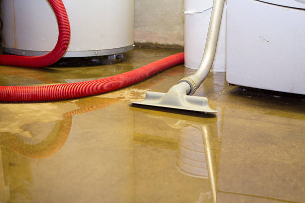 Best 24-hour water damage restoration  in Grapeland, TX