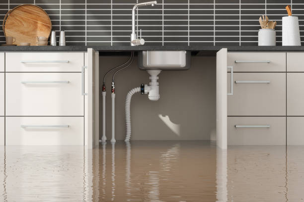 Best Flood restoration services  in Grapeland, TX