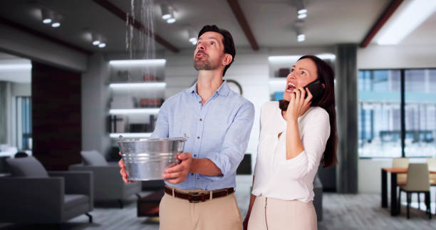 Best Emergency water damage restoration  in Grapeland, TX